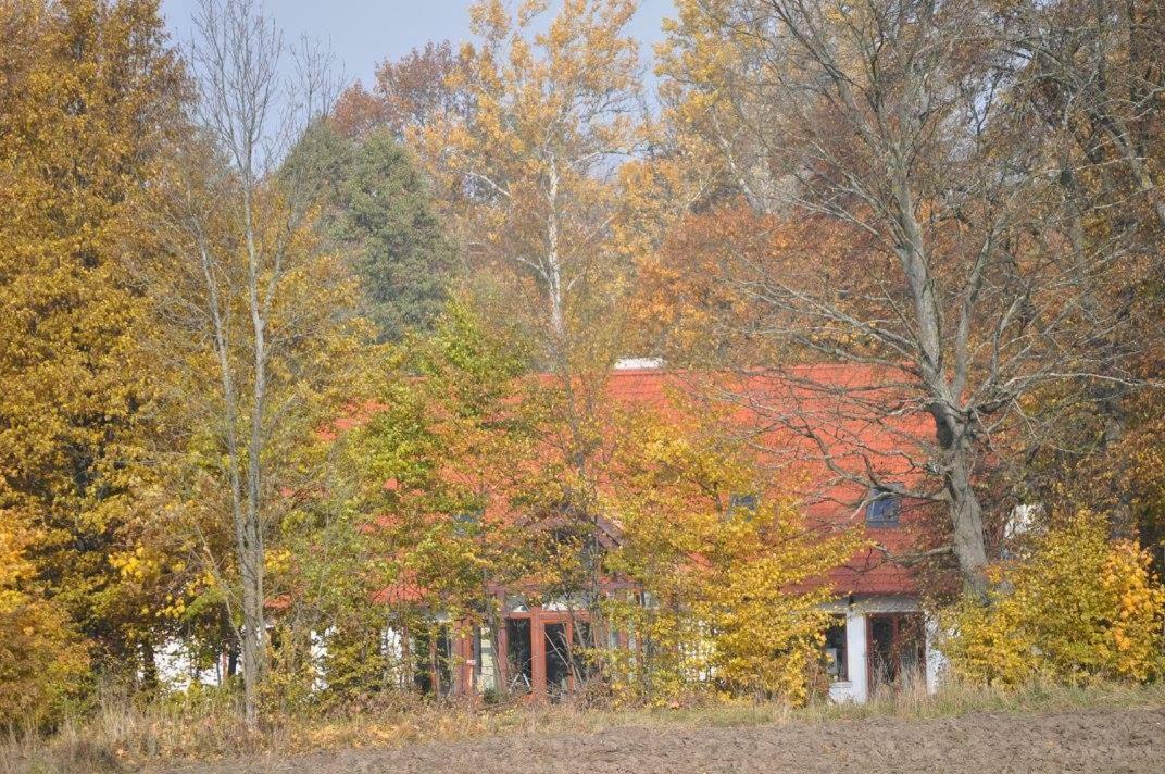 Vila Poza Zgielkiem Węgorzewo Exteriér fotografie