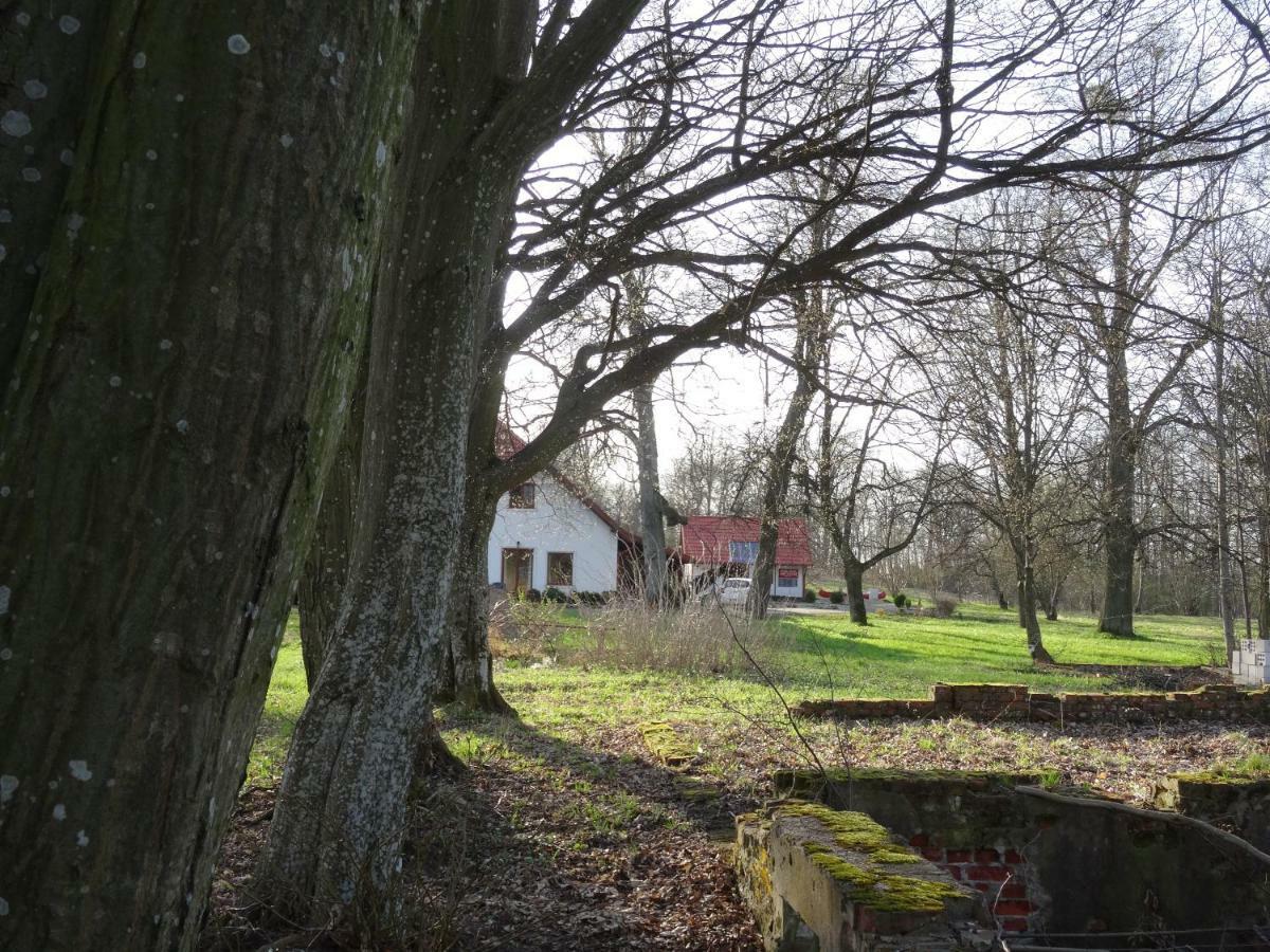 Vila Poza Zgielkiem Węgorzewo Exteriér fotografie