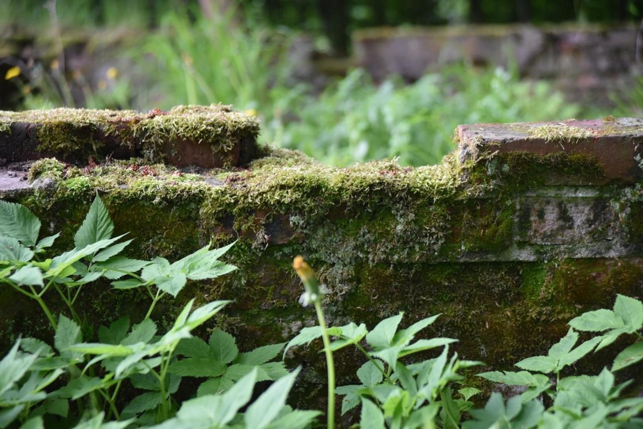 Vila Poza Zgielkiem Węgorzewo Exteriér fotografie
